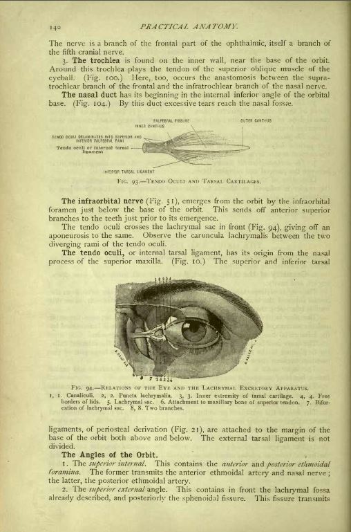 The Library of Embalming, History and Practice, Anatomy Autopsy 22 ...